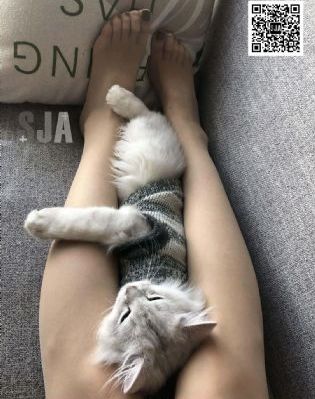 永濑唯在线_DVD在线手机播放