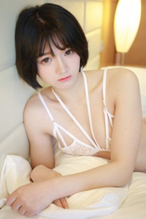 播种爱情_DVD在线视频观看