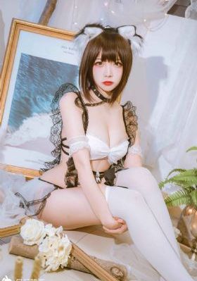 护宝风云电视剧全集在线观看免费_加长未删减版在线观看