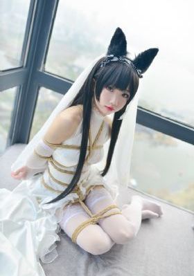 《煮妇神探》电视剧_超清超清在线观看