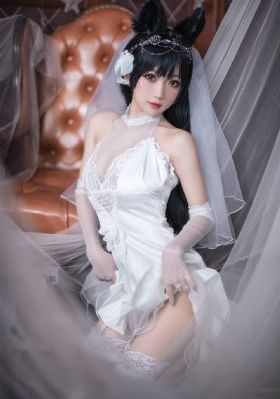 复仇狗联盟电影免费观看_4K迅雷电影在线